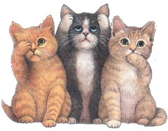 3kittens