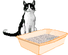 cat litter