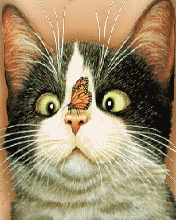 fly