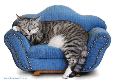 sleep