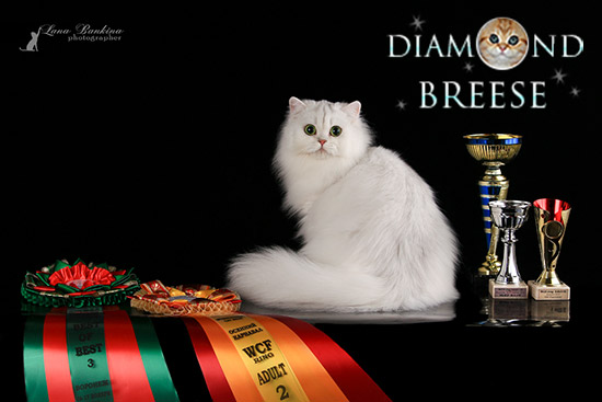 Xanna White Queen from Korzhel