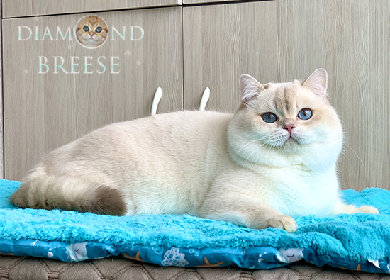xerxes04 24