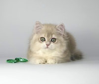 Geraldine Diamond Breese