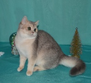 Pandora Diamond Breese