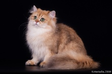 Princess of Blasca