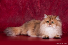 Princess of Blasca