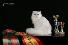 Xanna White Queen from Korzhel