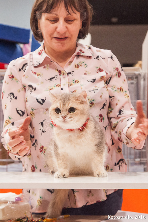 news 2018 01 29 4