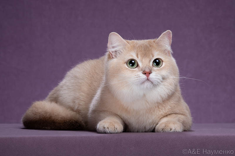 news 2023 10 16 2