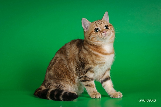 DSC 5573