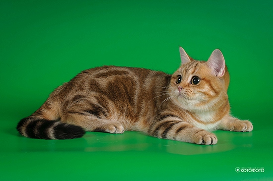 DSC 5582